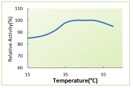 Commercial Liquid Lipase Enzyme 100000 U / ml High Enzyme Activity For Papermaking