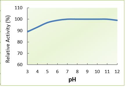 Commercial Liquid Lipase Enzyme 100000 U / ml High Enzyme Activity For Papermaking