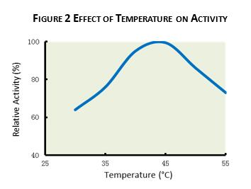 Liquid Proteolytic Enzyme Acid Protease , Enzymes In Brewing For Alcohol Fermentation