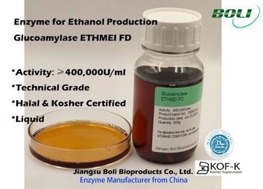 High Concentrated Enzyme Activity Glucoamylase Ethmei Fd For Ethanol Production