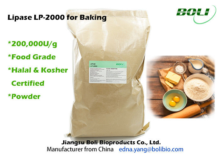 Food Grade Lipase Enzyme For Baking , Robust Activity Bread Enzymes Stable Activity