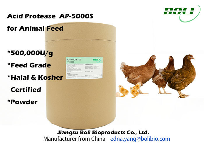 High Enzyme Activity Acid Protease Enzyme , Feed Enzymes In Poultry