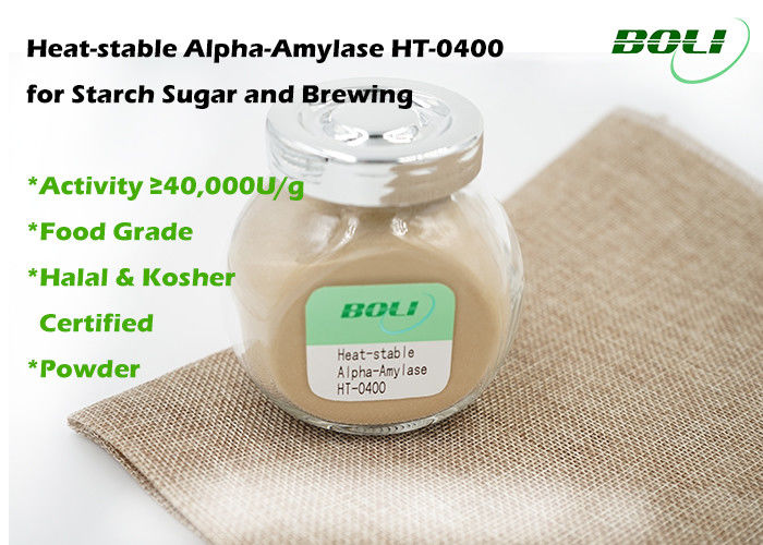Beige Yellow Alpha Amylase Enzyme Powder , Heat - Stable Enzyme Alpha Amylase