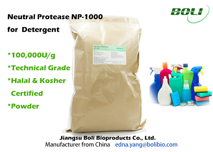 Technical Grade Powder Proteolytic Enzymes Neutral Protease NP 1000