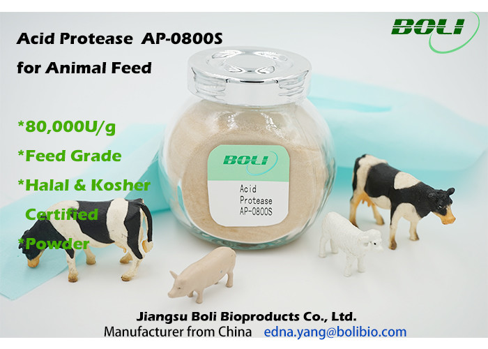 Powder Feed Grade Animal Feed Enzymes Acid Protease 80000 U / g Feed Grade
