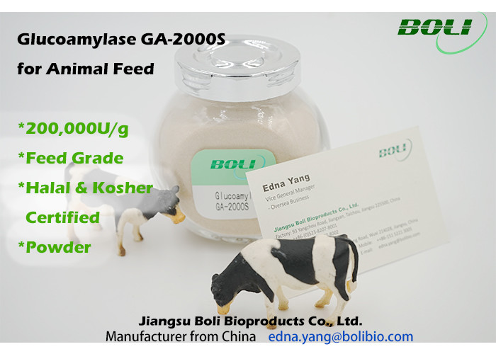 High Activity Biological Enzymes 200000 U / g , Animal Feed