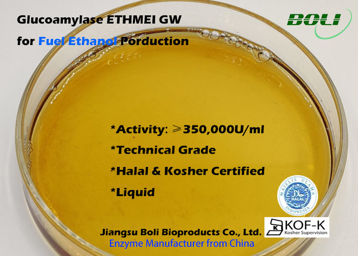 ETHMEI GW Biological Enzymes For Fuel Ethanol Processing With Halal And