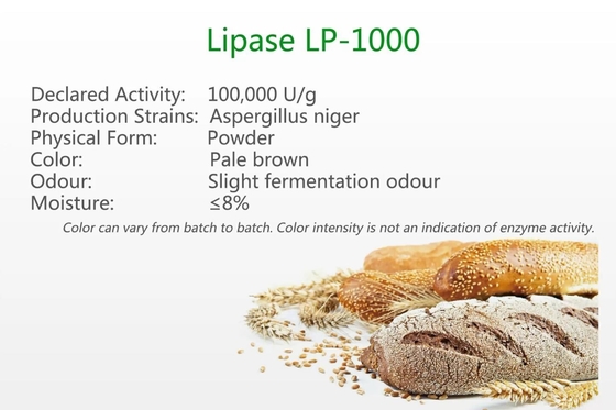 Lipase LP-1000 Baking Enzymes Hydrolysis Powder