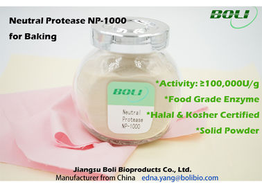 Food Grade Baking Enzymes Neutral Protease Powder Non - GMO 100000 U/g