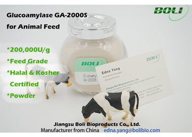 High Activity Biological Enzymes 200000 U / g , Animal Feed Amyloglucosidase Enzyme