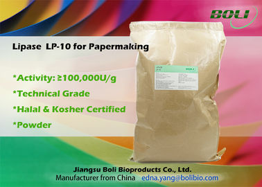 Industrial Lipase Enzyme In Paper Industry Technical Grade Light Brown Powder