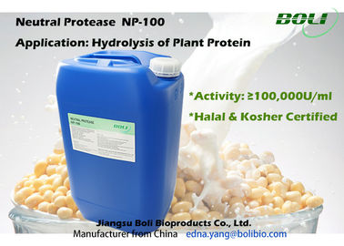 Neutral Protease For Hydrolysis Of Plant Protein , Industrial Production Of Protease Enzyme