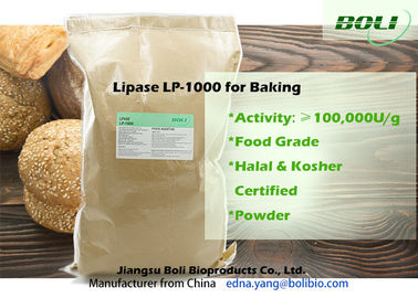 Light Yellow Powder Bakery / Lipase Enzyme Moisture 8% Superior Stability