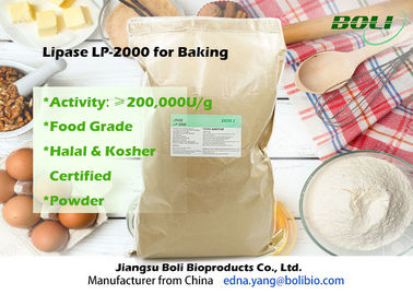 Food Grade Powder Lipase Enzyme LP-2000 High Efficient For Bakery 200000 U / g