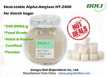 High Concentration Alpha Amylase Enzyme 240000 U / g