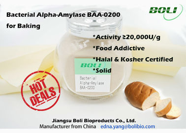 Non - GMO Bacterial Alpha - Amylase Baking Enzyme 20,000 U/g Powder