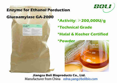 Industrial Powder Glucoamylase Enzyme GA - 2000 Faster Fermentation Efficacy For Ethanol