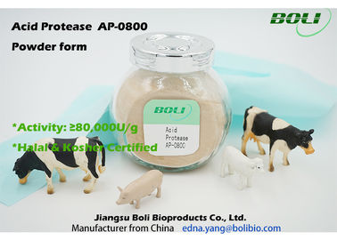 Boli Powder Acid Protease AP-0800 Activity 80000 U / g Hydrolysis of Proteins Free Sample Available