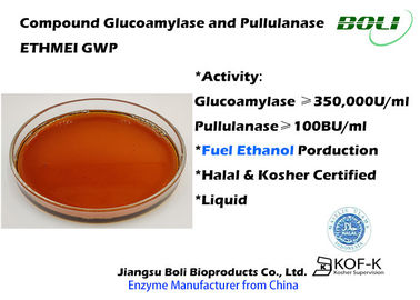 Glucoamylase And Pullulanase Blended Enzymes For Ethanol ETHMEI GWP Technical Grade