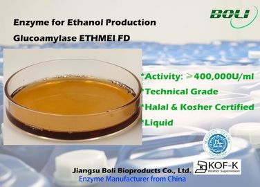 High Concentrated Enzyme Activity Glucoamylase Ethmei Fd For Ethanol Production