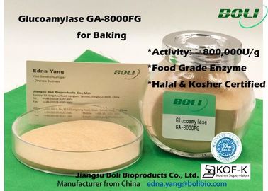 High Concentrated Powder Glucoamylase Enzyme GA - 8000FG 800000U / G For Food Indusry