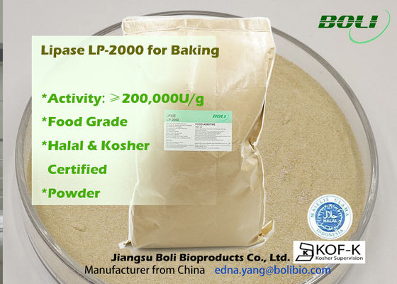 200000u/G Powder Lp-2000 High Efficient Lipase Enzyme For Bakery Food Use