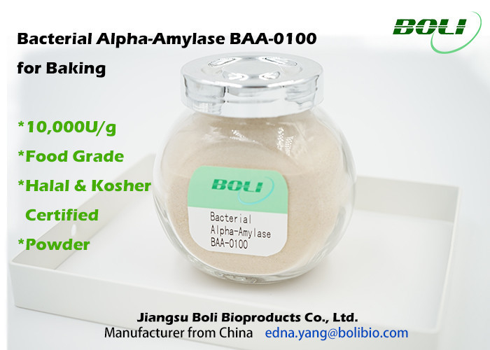 Non GMO Bacterial Alpha Amylase BAA-0100 For Bakery Powder