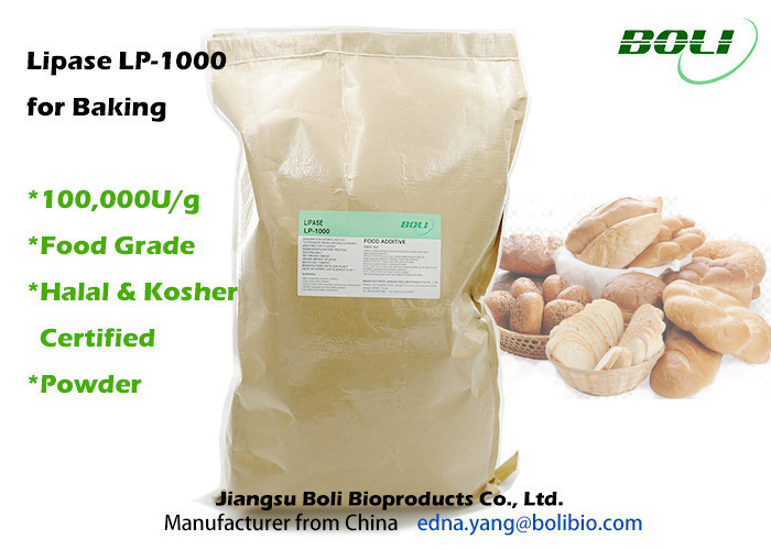 Lipase LP-1000 Baking Enzymes Hydrolysis Powder