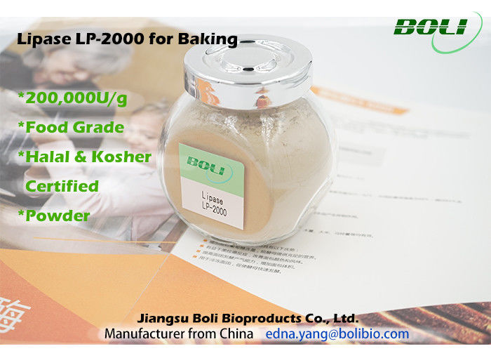 Lipase Solid Powder Baking Enzymes High Efficient Stable Activity 200000 U / g