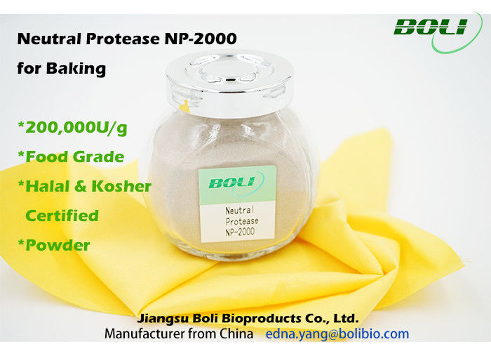 200000 U / g Neutral Protease For Baking ,  Food Grade Enzymes In Brewing Non - GMO