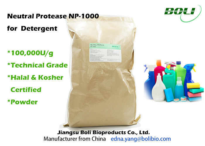 Technical Grade Powder Proteolytic Enzymes Neutral Protease NP - 1000 For Detergent
