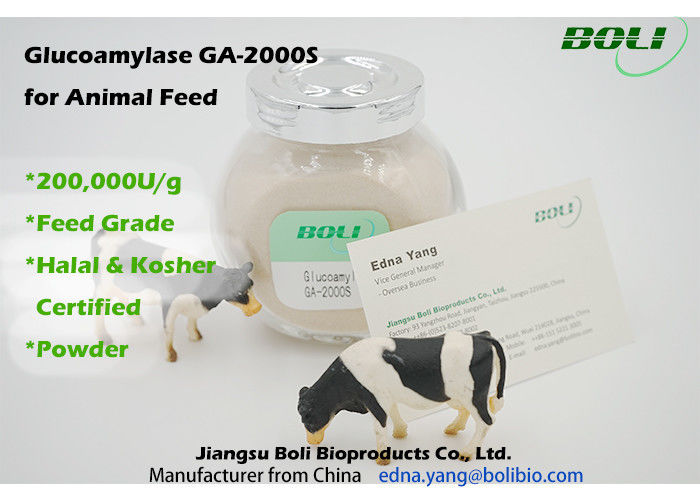 High Activity Biological Enzymes 200000 U / g , Animal Feed Amyloglucosidase Enzyme