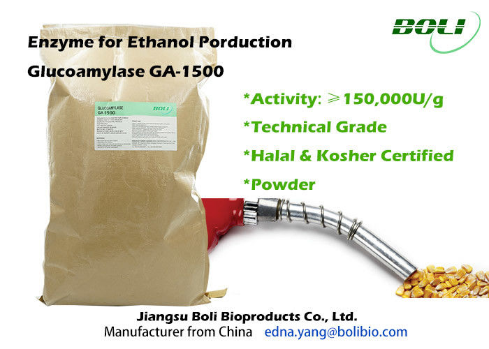 Technical Grade Glucoamylase Enzyme GA - 1500 150000 U / g Pale BrownFor Ethanol