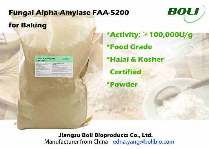 High Purity Fungal Alpha Amylase , Powdered Enzyme Amylase For Baking Industry