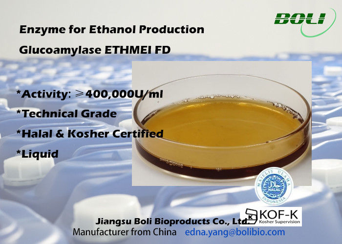 High Activity Glucoamylase Enzyme ETHMEI FD For Ethanol Production