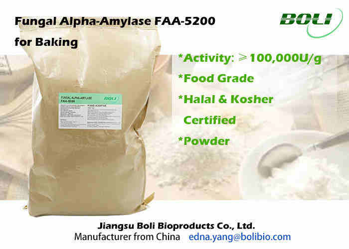 High Purity Fungal Alpha Amylase , Powdered Enzyme Amylase For Baking